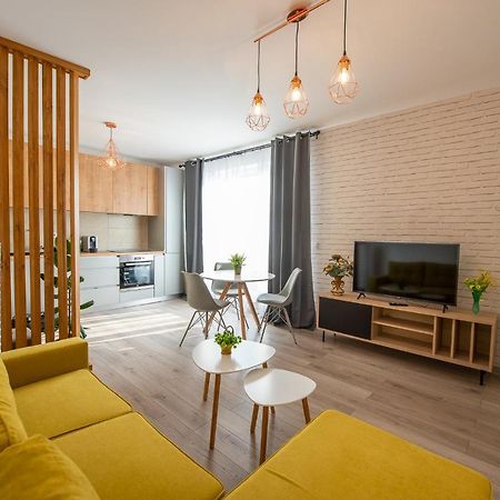Art Apartment Târgu-Mureş エクステリア 写真