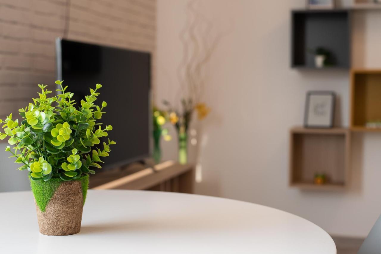 Art Apartment Târgu-Mureş エクステリア 写真