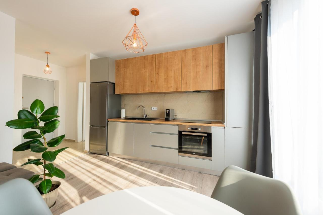 Art Apartment Târgu-Mureş エクステリア 写真